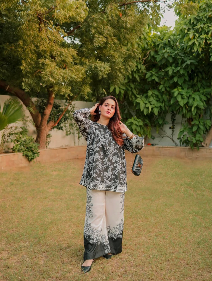 DILRUBA TRENDING 2PC