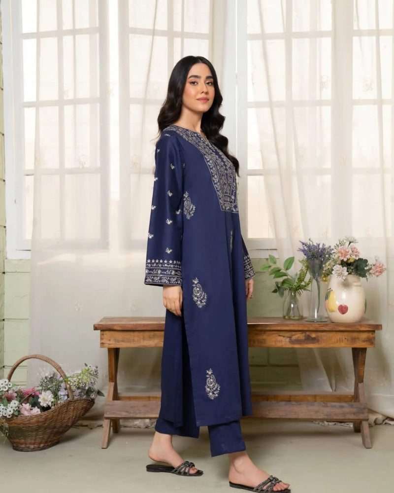 AYNA EMBROIDERED 2PC
